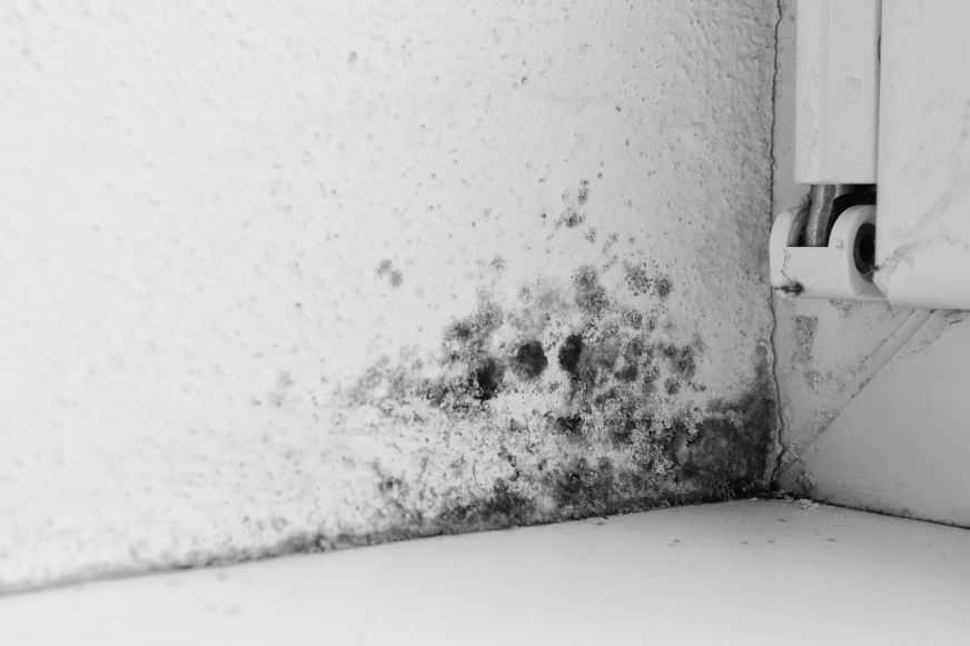 Dunkle Verfärbung der Tapete an einem Fenster aufgrund einer Schimmelbildung