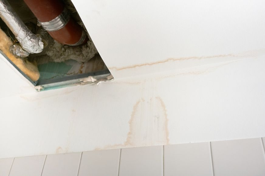 Schimmel nach Wasserschaden