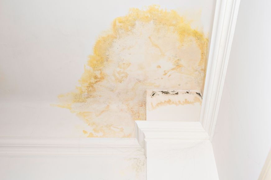 Deutlicher Wasserschaden mit Schimmelbildung an der Decke