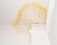 Deutlicher Wasserschaden mit Schimmelbildung an der Decke