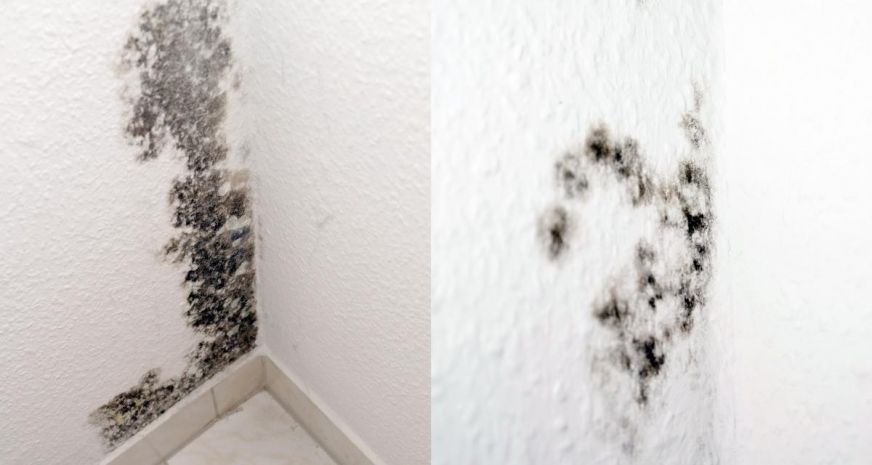 Dunkel Schimmelflecken in einer Ecke von einer Wohnung