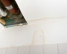 Schimmel nach Wasserschaden