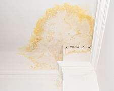 Deutlicher Wasserschaden mit Schimmelbildung an der Decke